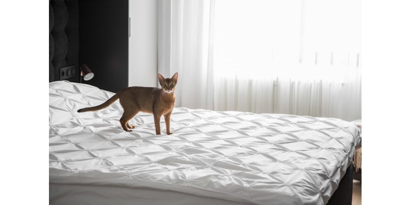 Двухкомнатная квартира в скандинавском стиле